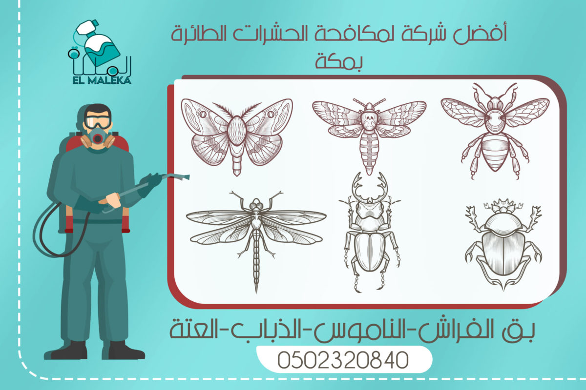 خدمات شركه مكافحة حشرات بمكة: الحلول الفعالة لمواجهة الآفات